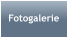 Fotogalerie