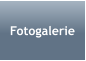 Fotogalerie